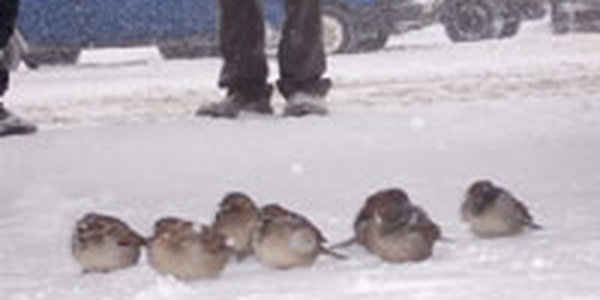 В Приморье потеплело ненадолго