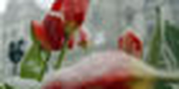 Метаморфозы апрельской погоды