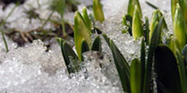 Антициклон принес в Приморье потепление