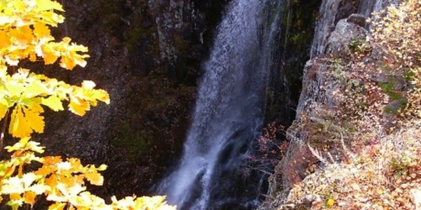 Октябрь попрощался с нами теплом и небольшим дождем