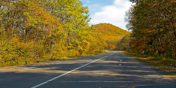 В Приморье разгар 