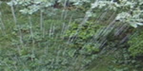 В Приморье холодная осень - в Австралии 