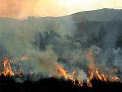 В Читинской области, в связи с лесными пожарами, введен режим чрезвычайной ситуации