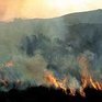 В Италии и Португалии бушуют пожары