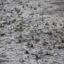 В среду в Приморье местами пройдут небольшие дожди