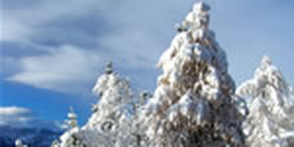 Где в России лёг снег?