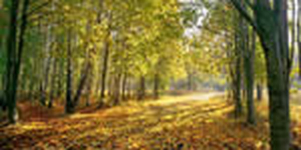 Позднее тепло согрело Южный Урал