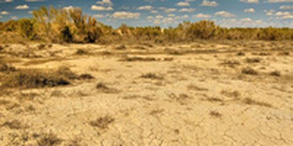 В Сомали сильнейшая за десятилетие засуха