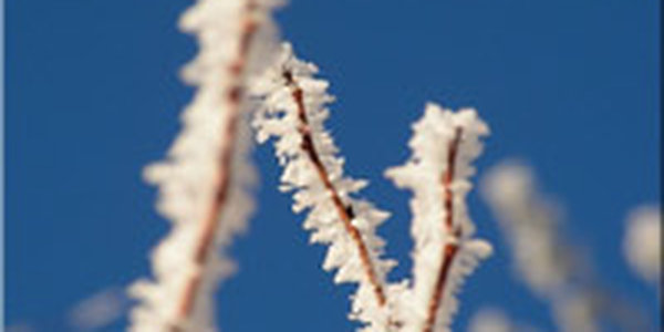 Утренний иней порадовал Владивосток