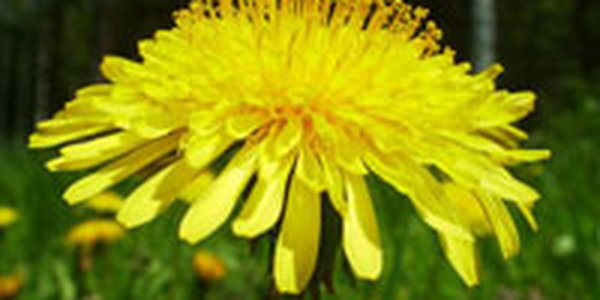 Сегодня в Приморье немного потеплеет