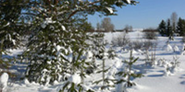 Итоги февраля. Каким был последний месяц зимы?