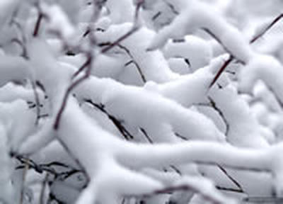 В центральных районах Приморья выходные выдались снежными