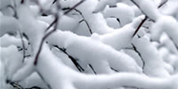 Во Владивостоке выпала половина месячной нормы осадков