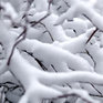 В центральных районах Приморья выходные выдались снежными