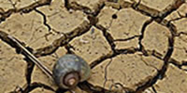 Австралия страдает от засухи