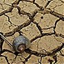Австралия страдает от засухи