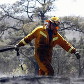 Последствия самых масштабных в истории Австралии лесных пожаров (ФОТО)
