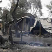 Последствия самых масштабных в истории Австралии лесных пожаров (ФОТО)