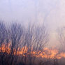Лесной пожар в Китае приближается к российской границе
