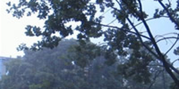 Очень интенсивные ливни по статистике выпадают нечасто, примерно 1 раз в 20 лет