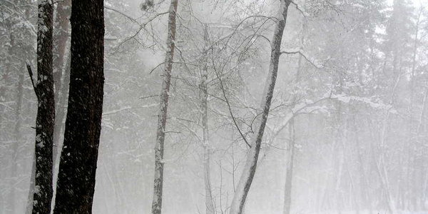 В Приморье объявлено штормовое предупреждение