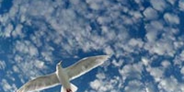 Пасхальное воскресенье порадует приморцев хорошей погодой