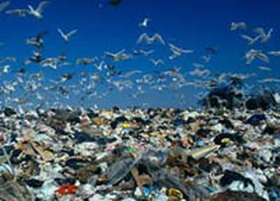 Чистить Владивосток от мусора будут 12 лет