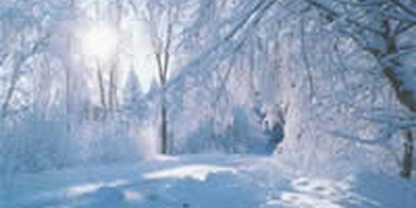 На Крещенье морозы немного ослабеют