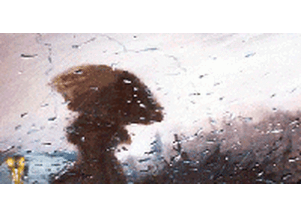 В воскресенье в Приморье ожидается дождливая погода