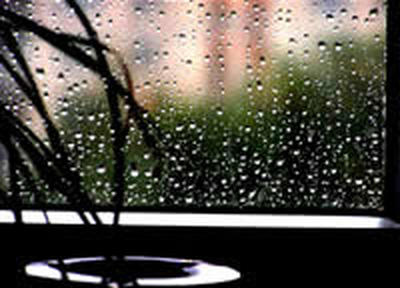Небольшие дожди ожидаются в Приморье
