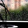 Небольшие дожди ожидаются в Приморье