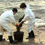 Разлив нефти в Лазовском заповеднике может привести к экологической катастрофе