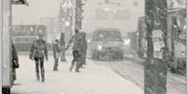 Приморье приведено в режим повышенной готовности