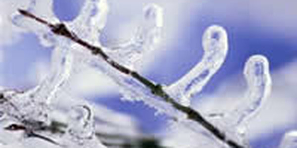 Снег окутал северную часть Приморья