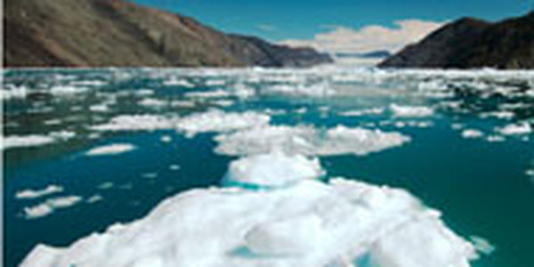 Изменение климата на Земле происходит гораздо быстрее, чем ожидалось