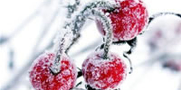 И снова холод ворвался в Приморье