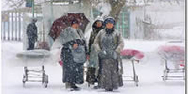 Восток России окутали снегопады