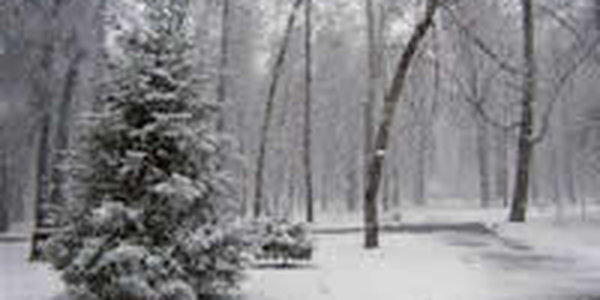 На Приморье надвигается очередной циклон