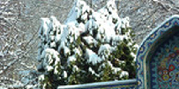 Снегопады парализовали иорданскую столицу