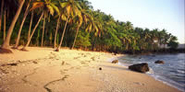 На Филиппинах гостит неизвестный тайфун