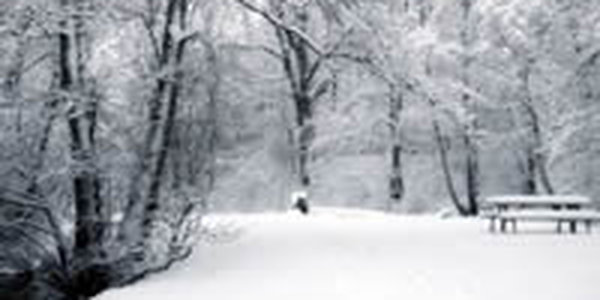 Москва поставила рекорд по количеству осадков в феврале