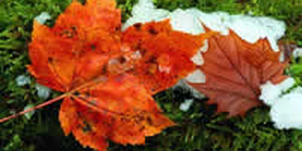 Над Приморьем господствуют циклоны, накрывая нас холодом