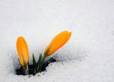Первая запевка весны. Каким был март в Приморье?