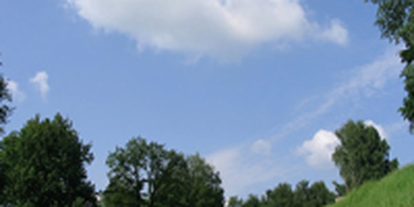 Летняя погода в Приморье сохранится до середины недели