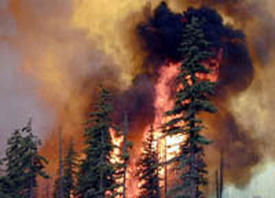 В Приморье сложилась напряженная ситуация с лесными пожарами