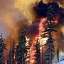 В Хабаровском крае и Якутии горит более 16 тыс га тайги
