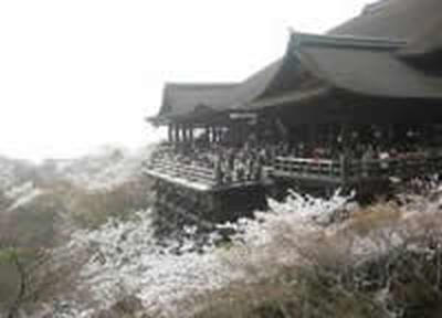 Снегопад пожаловал в Японию полюбоваться на сакуру