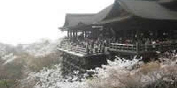 Снегопад пожаловал в Японию полюбоваться на сакуру