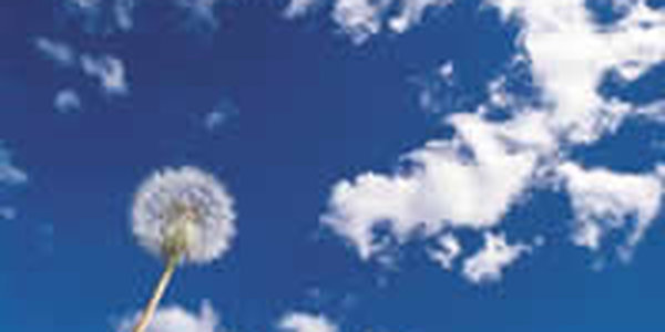 Вторая декада апреля в Приморье выдалась очень теплой и сухой