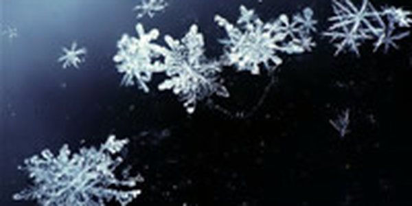 Сегодня в течение дня в Приморье пройдет небольшой снег